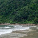 Praia litorânea cercada por vegetação verde e densa da Mata Atlântica, em Guarujá, São Paulo.