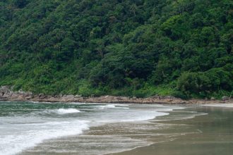 Praia litorânea cercada por vegetação verde e densa da Mata Atlântica, em Guarujá, São Paulo.