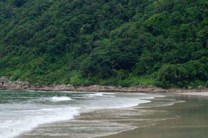 Praia litorânea cercada por vegetação verde e densa da Mata Atlântica, em Guarujá, São Paulo.