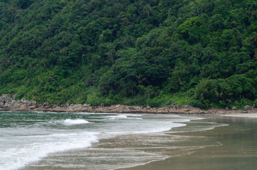 Praia litorânea cercada por vegetação verde e densa da Mata Atlântica, em Guarujá, São Paulo.